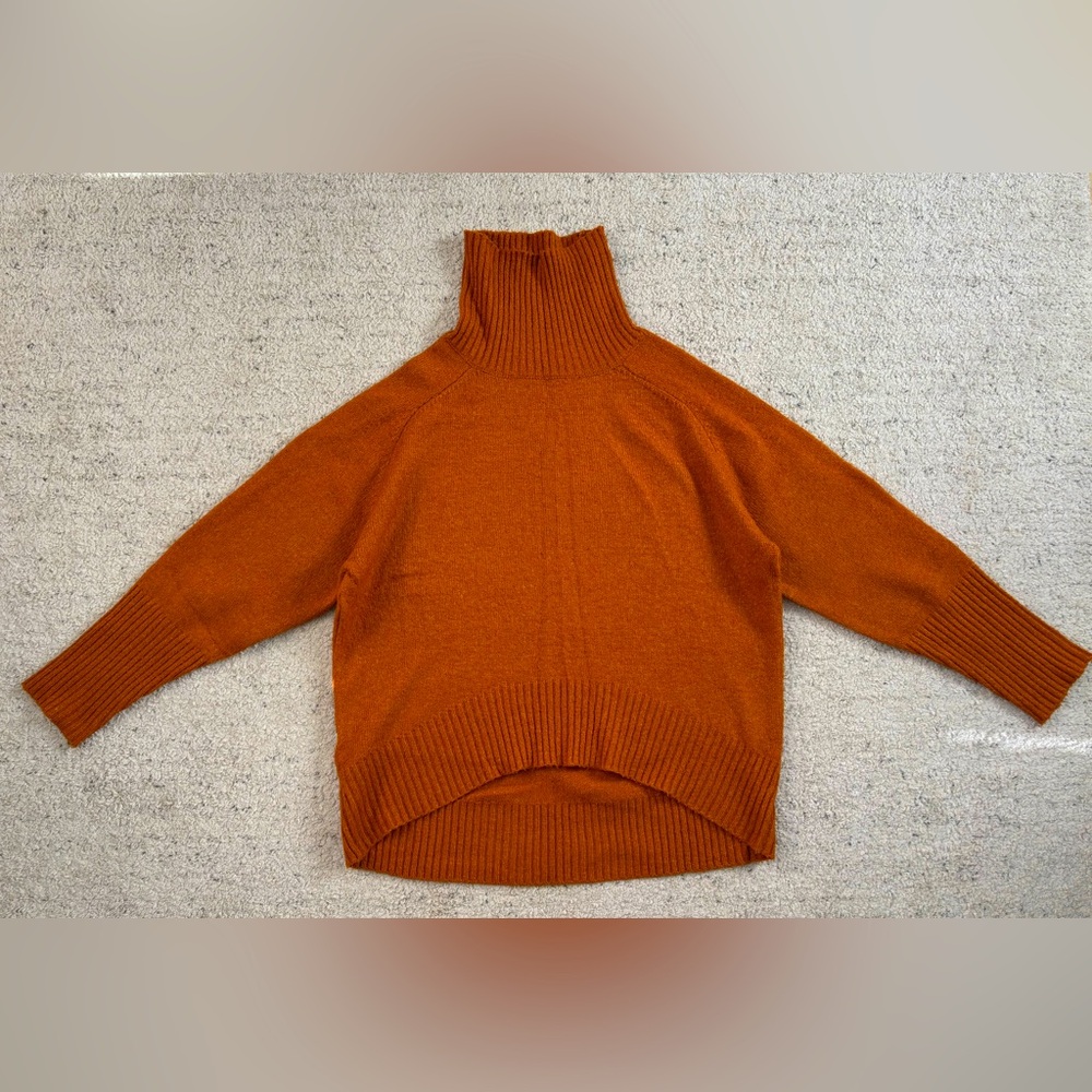 Double Zero Turtleneck Sweater